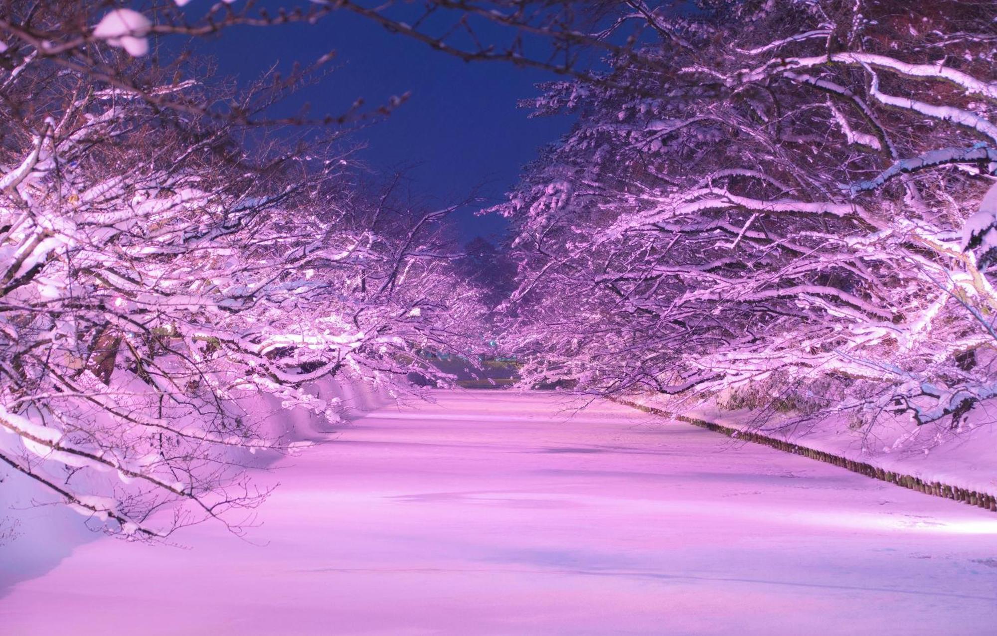 Hirosaki Park Hotel Aomori Zewnętrze zdjęcie